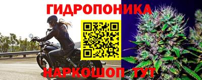 Альфа ПВП Коммунар