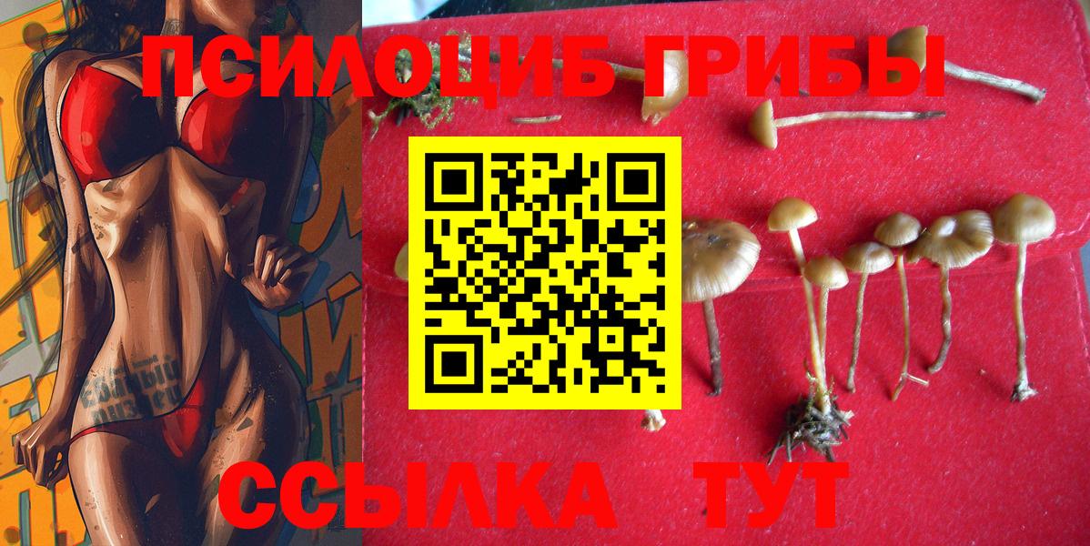 Галлюциногенные грибы ЛСД  Вход с VPN  купить   Кинель 
